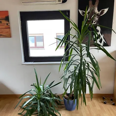 Апартаменты Monteurwohnung - Naehe Limburg An Der Lahn *