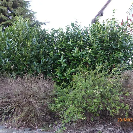 Monteurwohnung - Naehe Limburg An Der Lahn