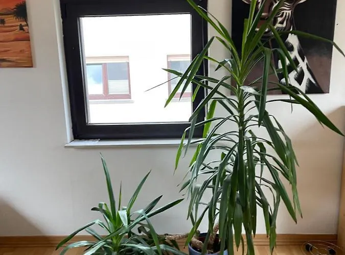 Apartament Monteurwohnung - Naehe Limburg An Der Lahn *