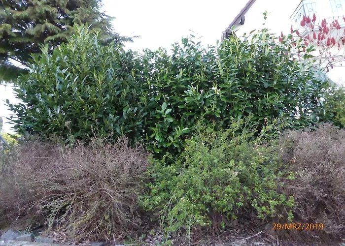 Monteurwohnung - Naehe Limburg An Der Lahn